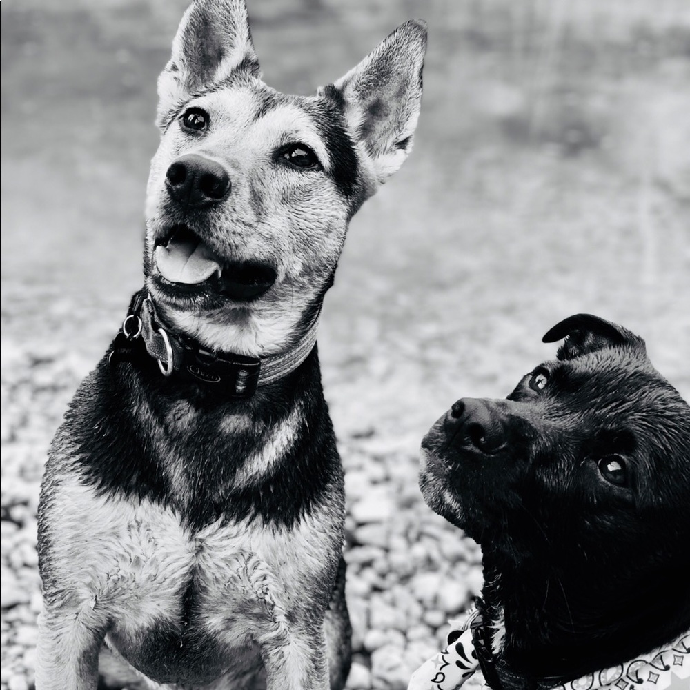 Meet your Posher, Chelsea